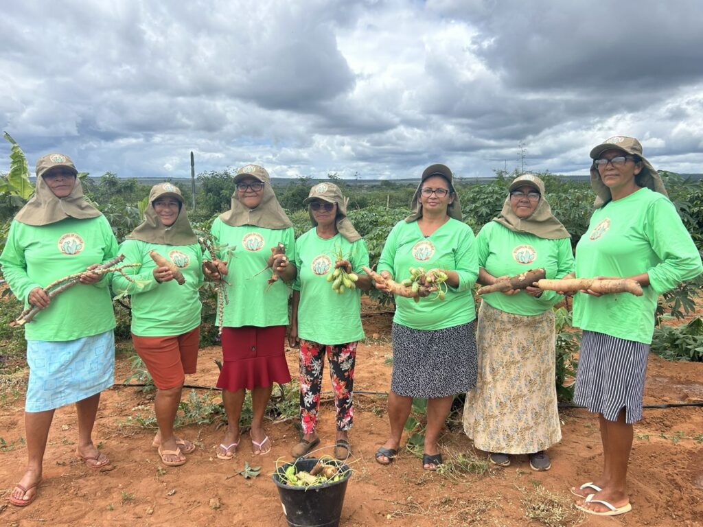 Produção coletiva fortalece mulheres de Fundo de Pasto no semiárido baiano
