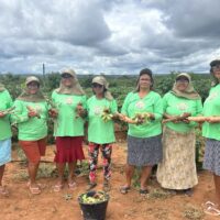 Produção coletiva fortalece mulheres de Fundo de Pasto no semiárido baiano